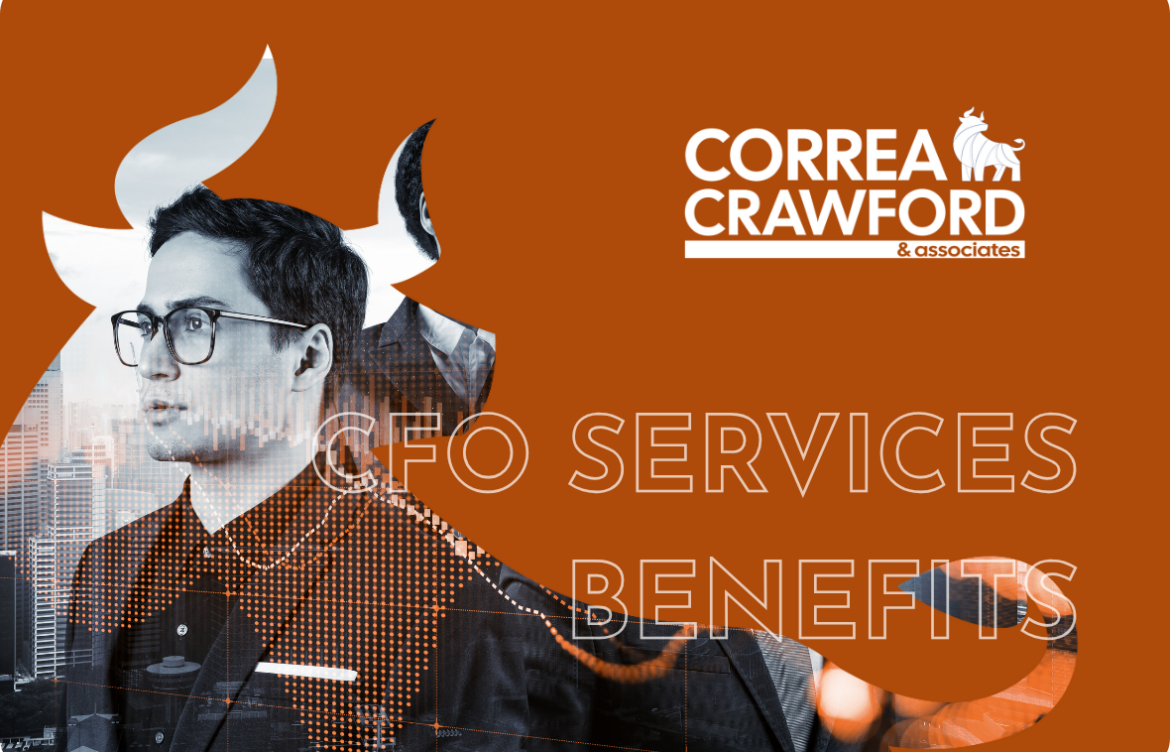 CFO Services Drive US Business Growth & Success